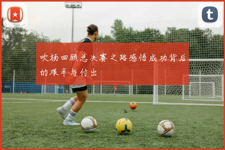 吹杨回顾总决赛之路感悟成功背后的艰辛与付出