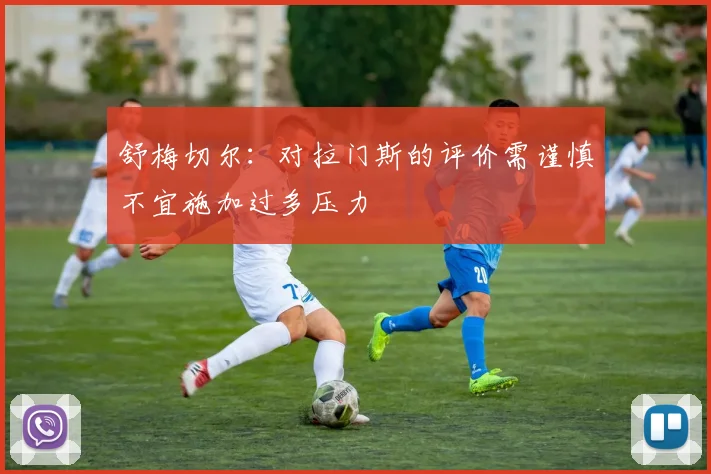 舒梅切尔：对拉门斯的评价需谨慎不宜施加过多压力