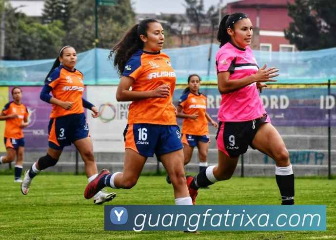 广发体育APP 封面图